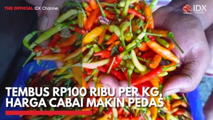 Tembus Rp100 Ribu per Kg, Harga Cabai Makin Pedas
