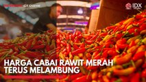 Harga Cabai Rawit Merah Terus Melambung