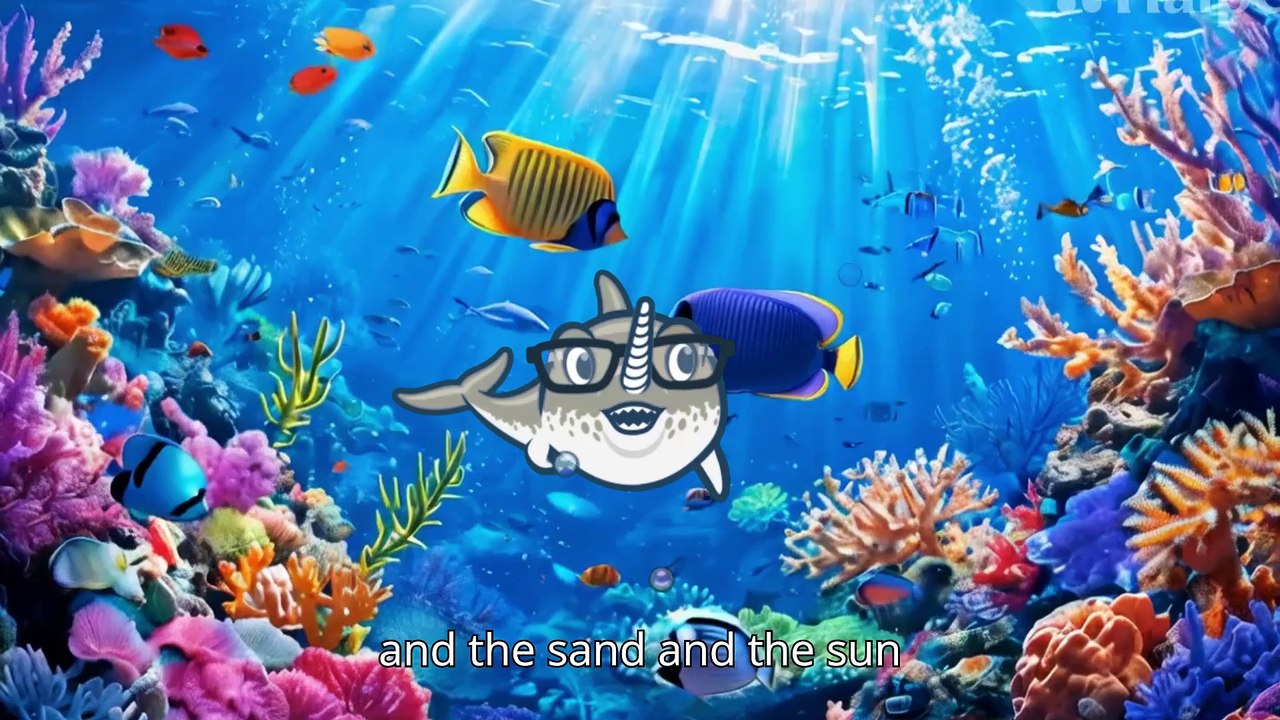Ocean Wonders