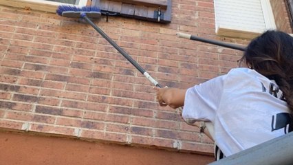 Girl's window check turns frightening when bats suddenly fly out
