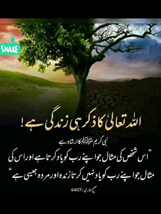 Islamic video