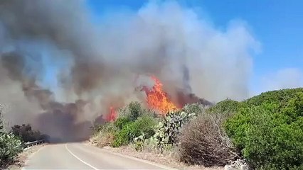 Ugento, incendi nel parco nazionale: evacuato il parcheggio del resort a Torre Mozza