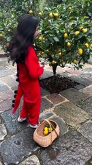 Natalia Oreiro cocina