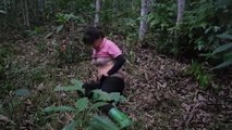 TIMELAPSE : Attacked by bad guys - Harvesting agricultural products to sell at the market