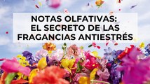 Notas olfativas: el secreto de las fragancias antiestrés