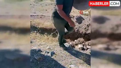 Niğde'de kuyuya düşen eşek kurtarıldı