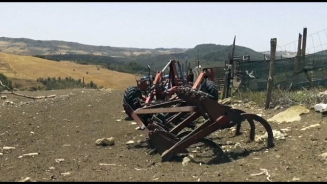 Siccità in Sicilia, agricoltori: il cambiamento climatico qui è reale