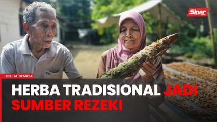 Kerah kudrat redah hutan cari herba tradisional