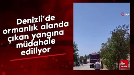 Denizli’de ormanlık alanda çıkan yangına müdahale ediliyor