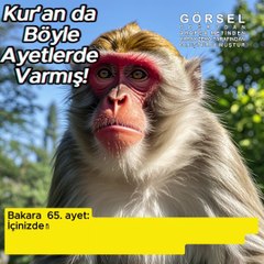"Aşağılık maymunlar olun” ….. - Bakara 65.ayet