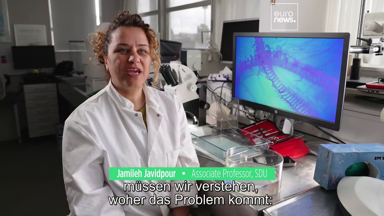 Interview: Quallenboom - Bedrohung oder Schatz?