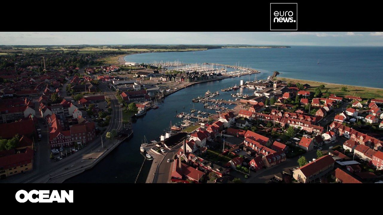 Glibbrig, gefährlich und gesund: Warum Quallen essen nachhaltig ist