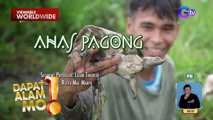 Tinatawag na ‘ahas pagong’ ng Quezon, paano nga ba iniluluto? | Dapat Alam Mo!