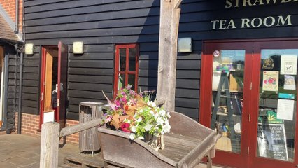 Strawberry Fields Tea Room in Horsham