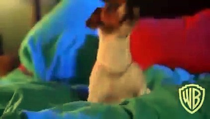 La máscara (1994) - Trailer