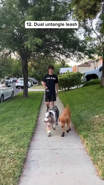 Amazon Best Home Products Reviews