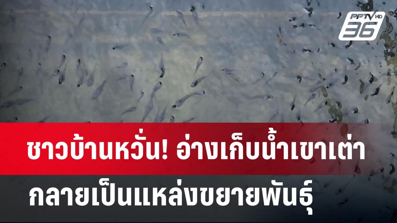 ชาวบ้านหวั่น! อ่างเก็บน้ำเขาเต่า กลายเป็นแหล่งข...