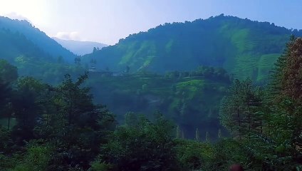 Discover the Natural Paradise of the Galyat Areas