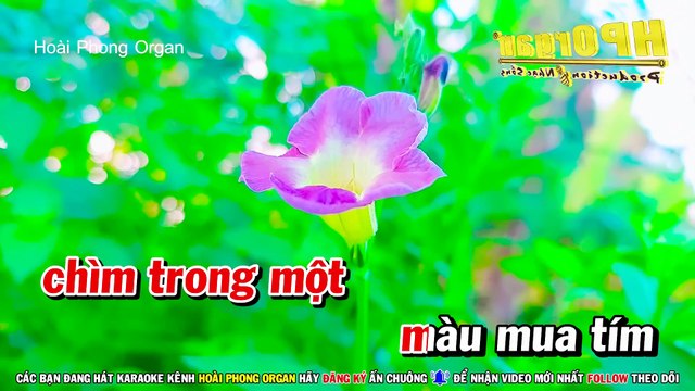Karaoke Bông Mua Tím (Beat Hay) Tone Nữ Nhạc Sống (Bbm) Hoài Phong Organ