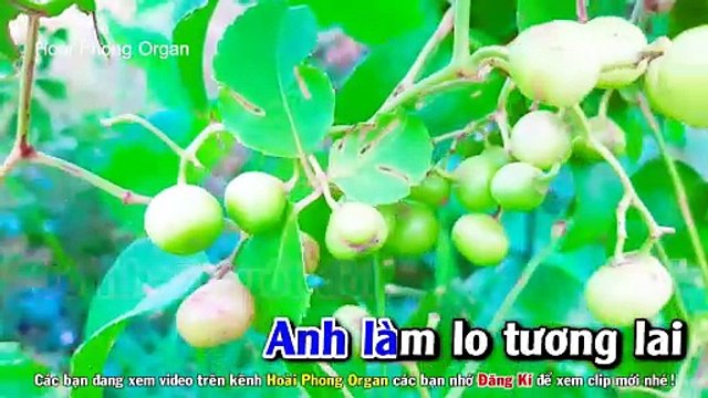 Karaoke Căn Nhà Mộng Ước Nhạc Sống Tone Nam 2022 - Hoài Phong Organ