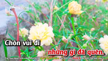 Karaoke Đam Mê Tone Nữ Nhạc Sống Dể Hát - Hoài Phong Organ