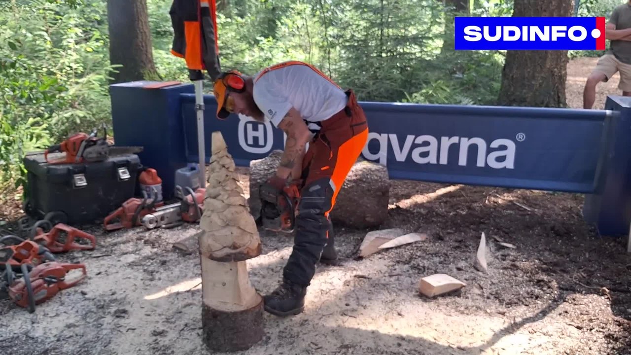 Demo Forest, le rendez-vous des passionnés de forêt