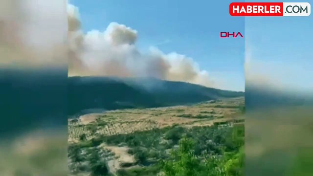 Urla'da Orman Yangını: Ekipler Alevlere Havadan ve Karadan Müdahale Ediyor