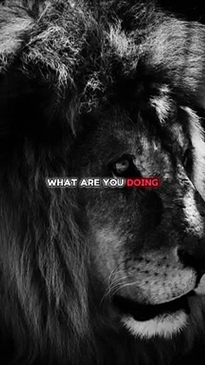 What are you doing. #motivation #motivational #motivationalquotes #quotes #lionsmindset #lion #daulymotion #usa #viral