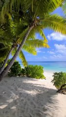 On a trouvé LE PARADIS SUR TERRE sur l’île Desroches aux Seychelles