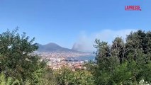 Incendi, ancora fiamme alle pendici del Vesuvio