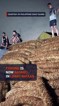 Fishing banned in Limay, Bataan due to oil spill