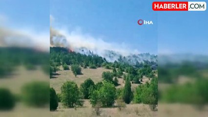 Tavşanlı'da orman yangını kontrol altına alındı