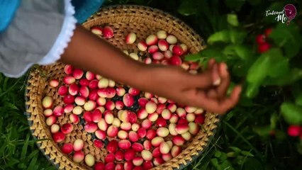 Cherry like Jamson fruit! My secret Rice Pudding was so tasty with candied jamsons!_ Traditional life