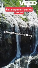 Les Drones Révolutionnent_ Reforestation et Sauvetage!