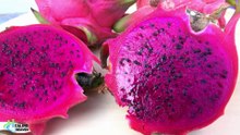 8 Amazing Benefits of Dragon Fruit!