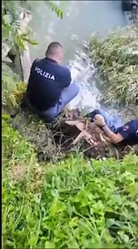 Auto nel canale, due agenti si immergono per portare aiuto