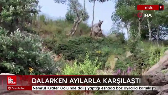 Nemrut Krater Gölü'nde sualtı dalışı yaptığı esnada boz ayılarla karşılaştı