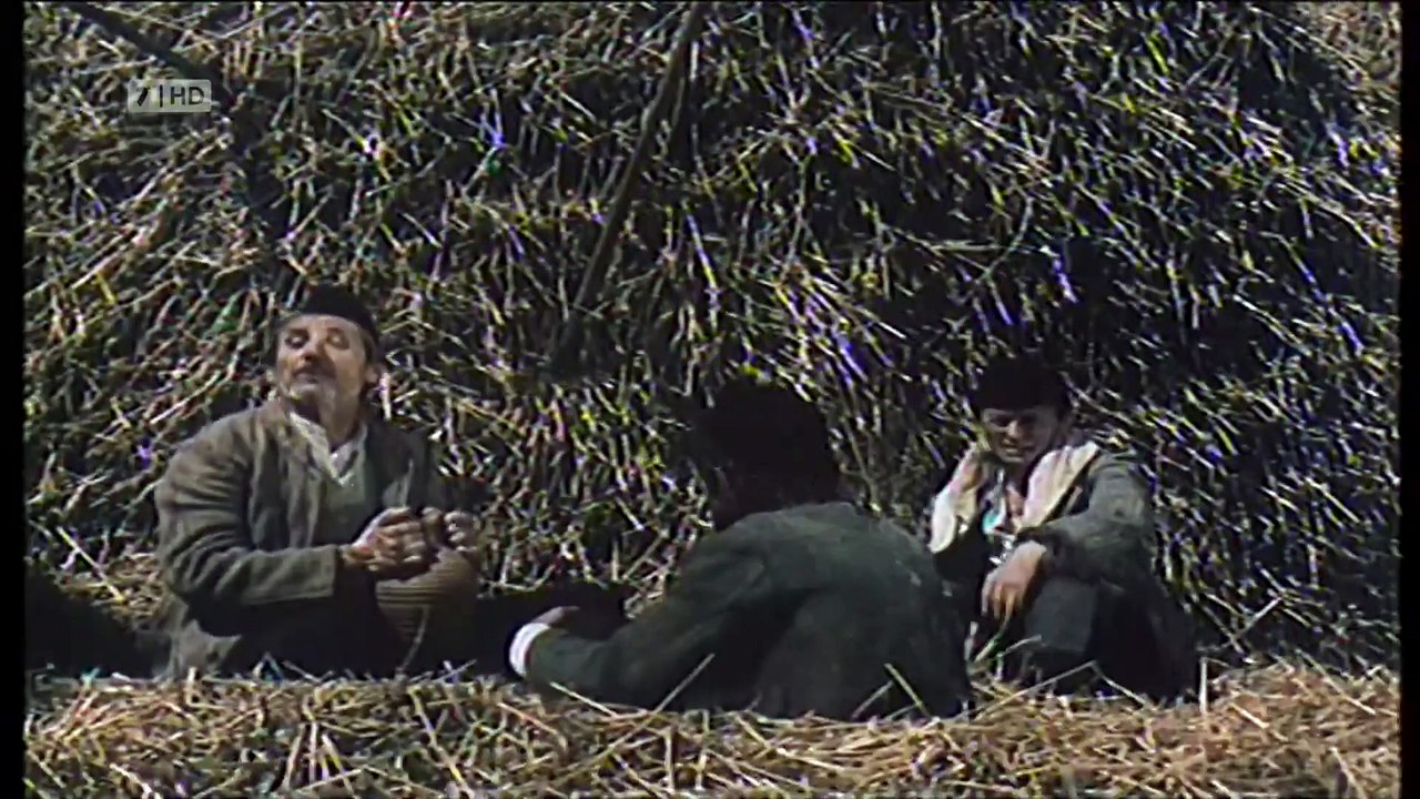 Historiani dhe kameleonet