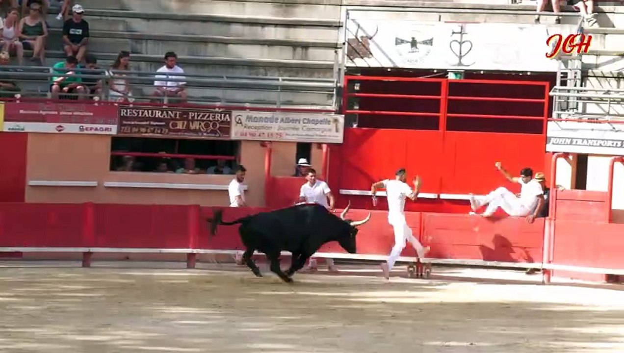 28 Juillet 2024 à St Martin de Crau