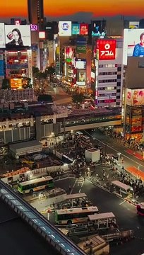 JAPAN shibuya ( Tokyo ) Japan