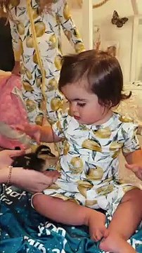 They love them #toddler#toddlersoftiktok#toddlers#dadsoftiktok#MomsofTikTok#parenthood#family#babyfever#baby#babies#cutebaby