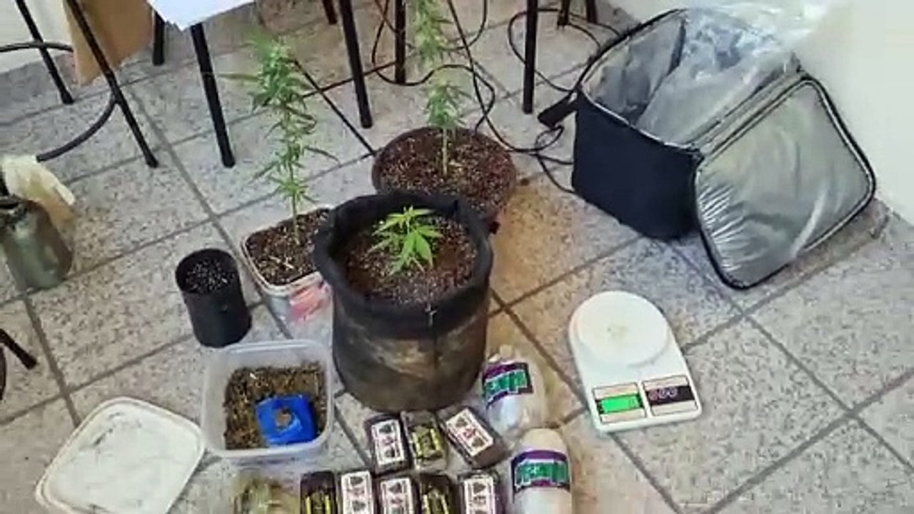 "PF apreende drogas em Vila Velha"