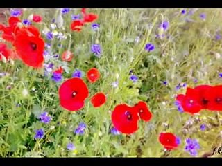 Yıldırım Yıldızdoğan-Mihrali Dizisi Müziği