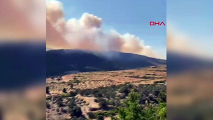 Urla'da orman yangını! 11 ev tahliye edildi