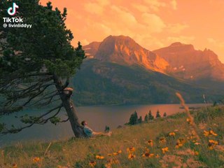 Last night in the rock