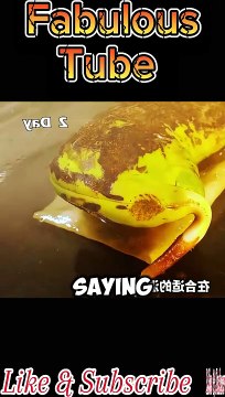 A short motivational story | life lesson story #motivation #motivational #wisdom #mindset #lifelesson #love #inspirational