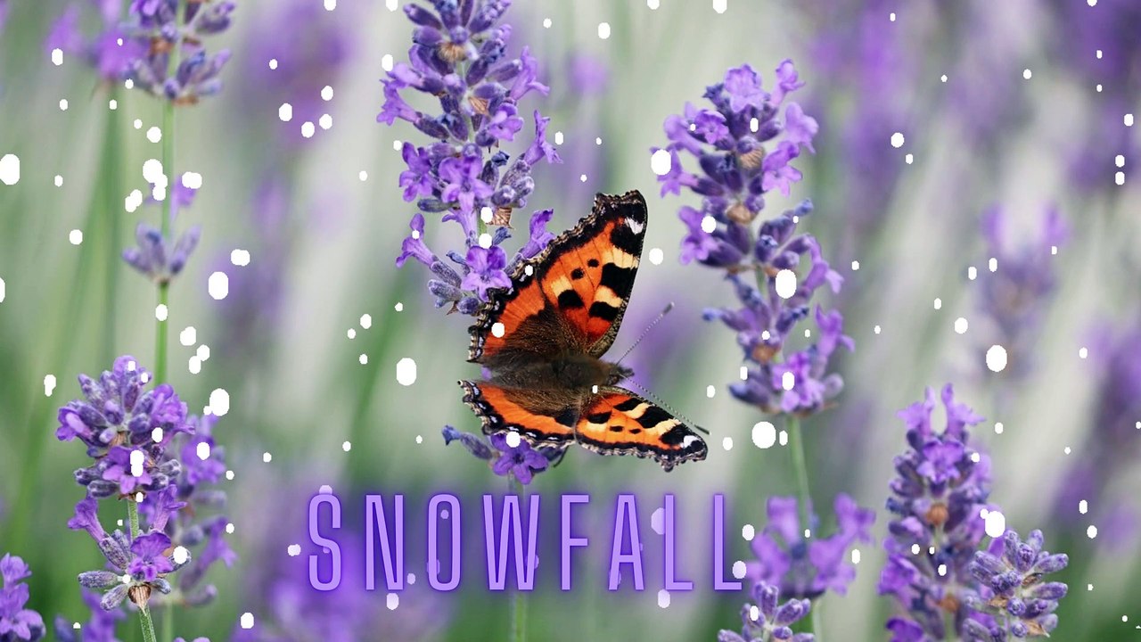 Snowfall Copyright Free Background Music, NCS, RFM,NCM