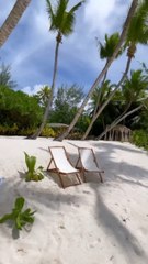 LA PLUS SUBLIME plage des Seychelles : Desroches