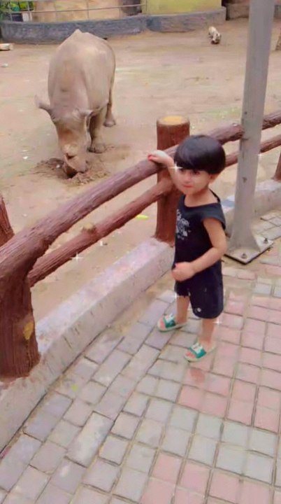 Zoo