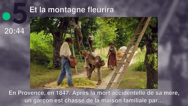 Programme TV soirée du Mercredi 31 juillet 2024